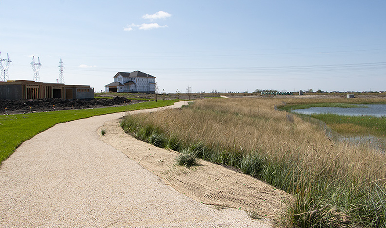 Wetland trail- Two years old