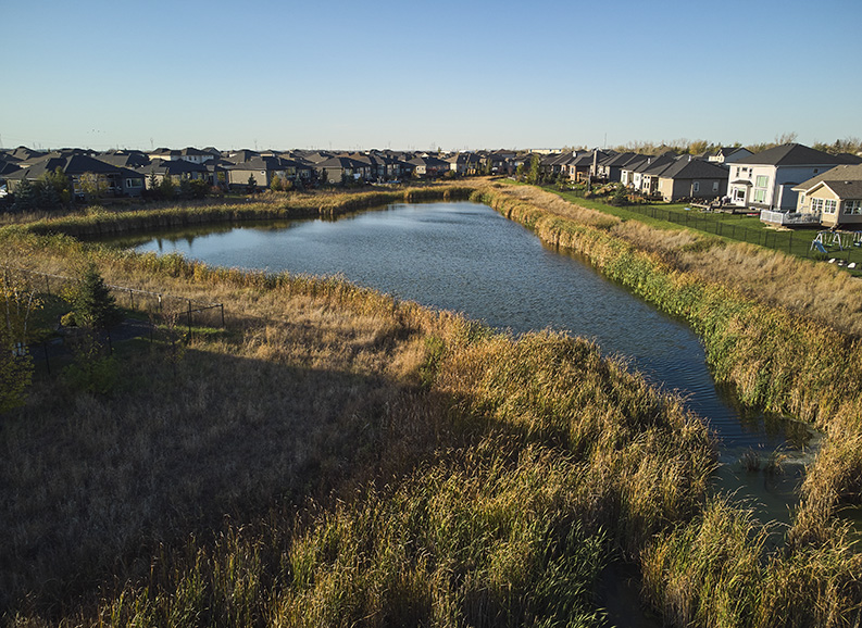 OBW wetland-Phase 1