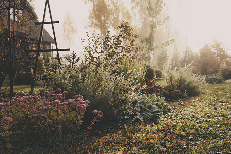 Fall_Gardening_preserve Fall_Gardening_preserve