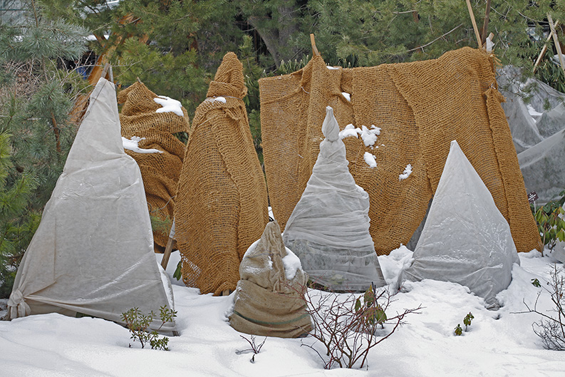 Fall_Gardening_protect Fall_Gardening_protect