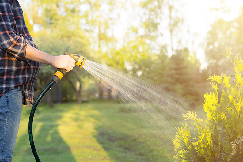 Fall_Gardening_water