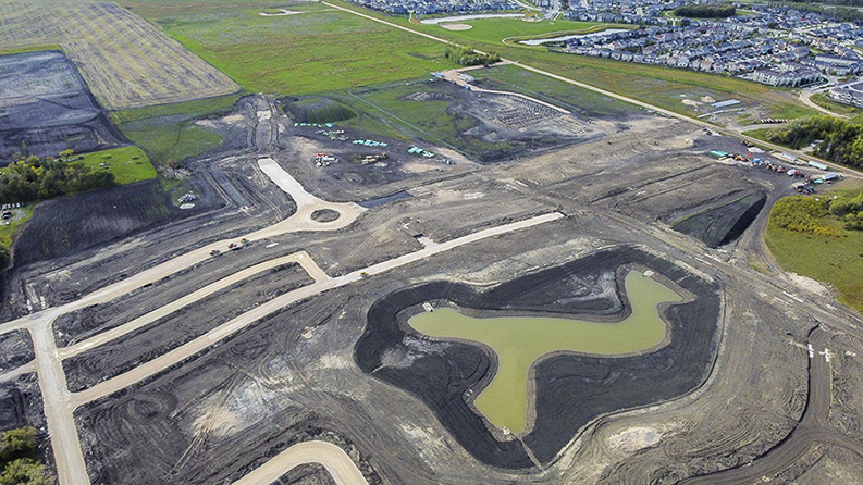 wetland-2 months old