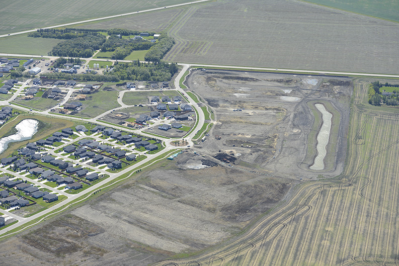 Wetland- A year old Wetland- A year old
