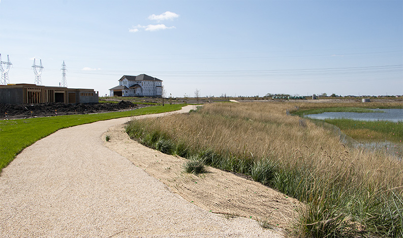 Wetland trail- Two years old Wetland trail- Two years old